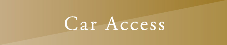 Car Access