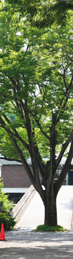 慶應義塾志木高等学校（徒歩13分／約980m）