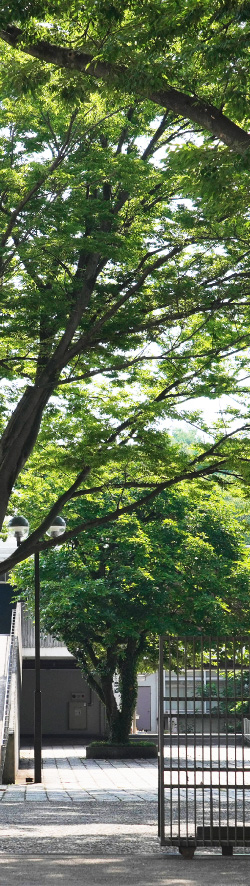 慶應義塾志木高等学校（徒歩13分／約980m）
