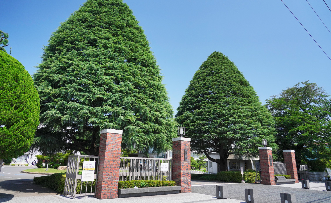 立教大学新座キャンパス（徒歩8分／約630m）