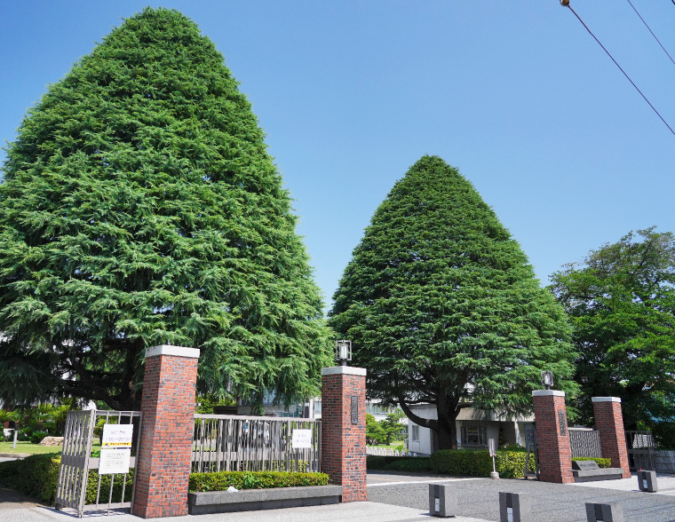 立教大学新座キャンパス（徒歩8分／約630m）