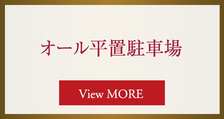 オール平置駐車場